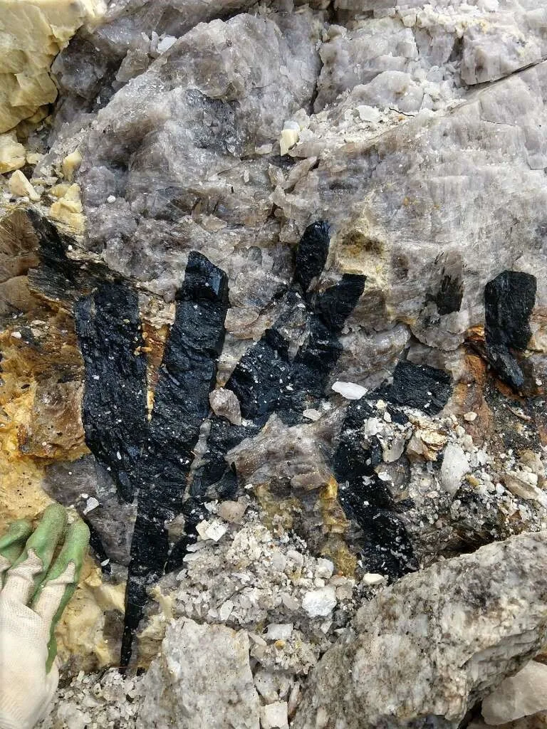 Black tourmaline crystal formations embedded in a quartz rock matrix, photographed by a Maine engineering firm, with a gloved hand in the lower left corner for scale.