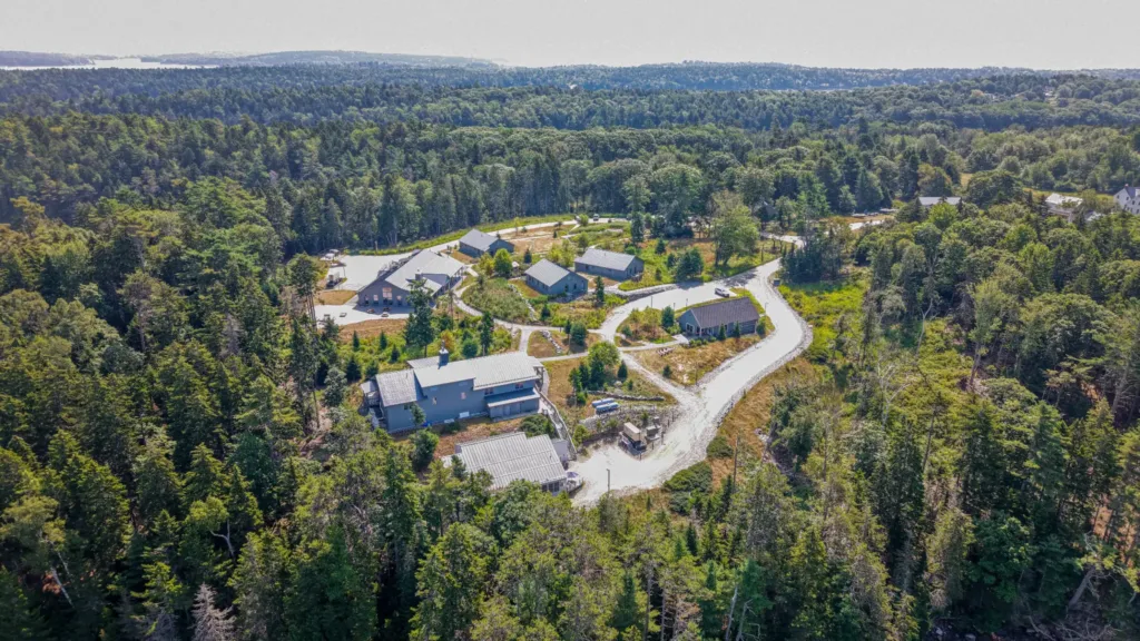 Aerial view of a cluster of modern buildings surrounded by dense forest, with winding roads—showcasing expert civil engineering services connecting the landscape seamlessly.