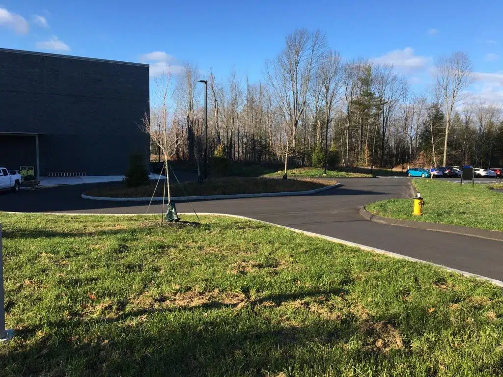 COLBY COLLEGE ATHLETIC COMPLEX - 2 - Sebago Technics A paved driveway, shaped by expert civil engineering services, curves around a grassy area near a building, with bare trees and parked cars in the background under a blue sky.