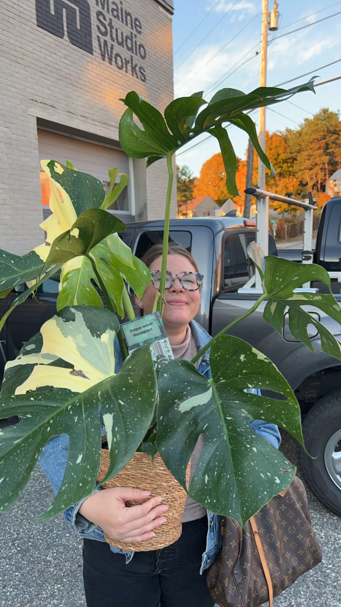 Plant - Sebago Technics A person holding a large variegated monstera in a basket, partially obscuring their face, stands outside near a black truck and the Maine engineering firm, Studio Works.